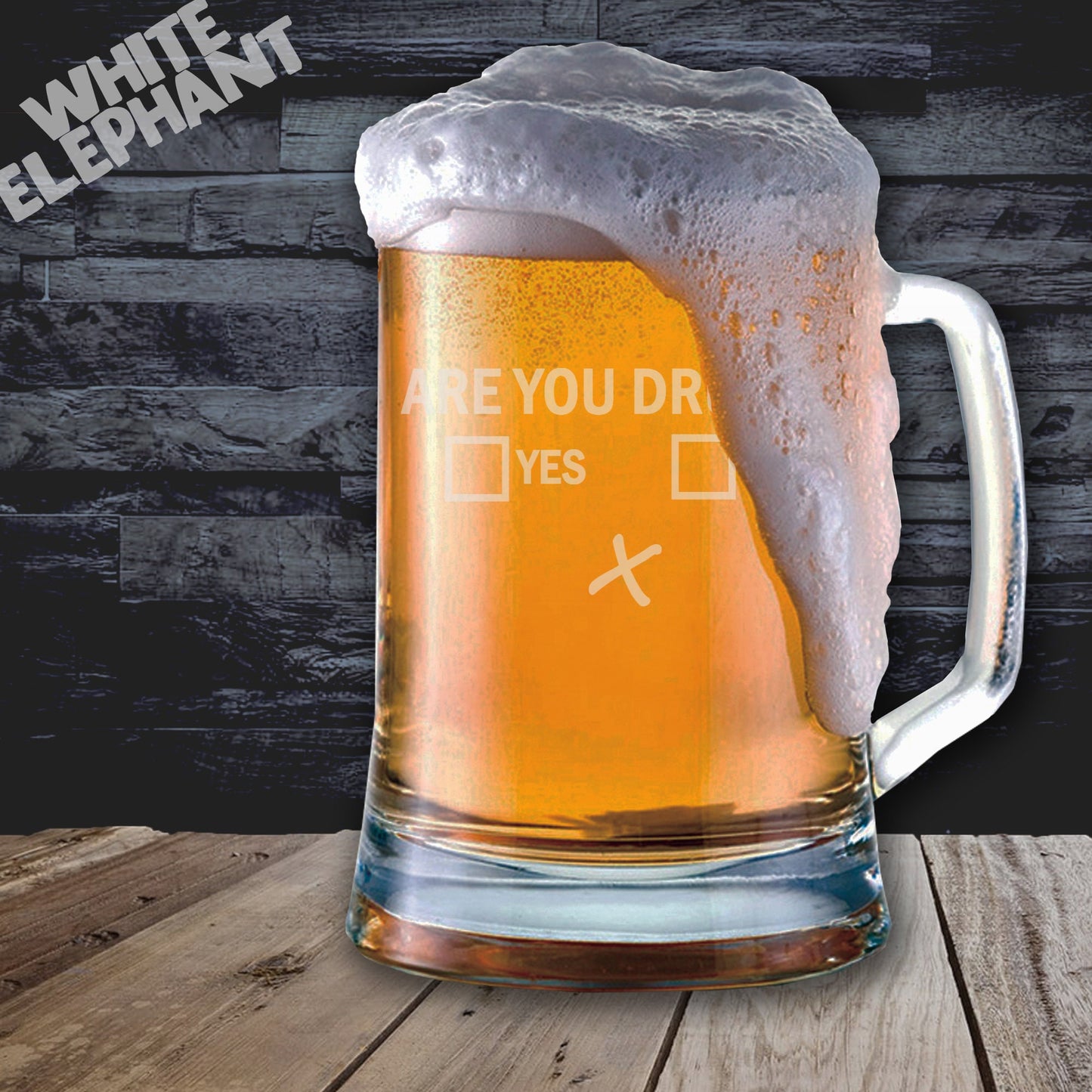 Are You Drunk Tankard Glass Gift